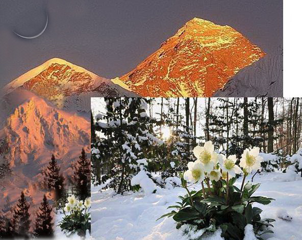 Снова в ноздри врывается свежесть...