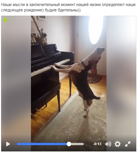 Ода попсе