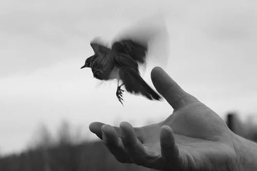 Не сломайте меня