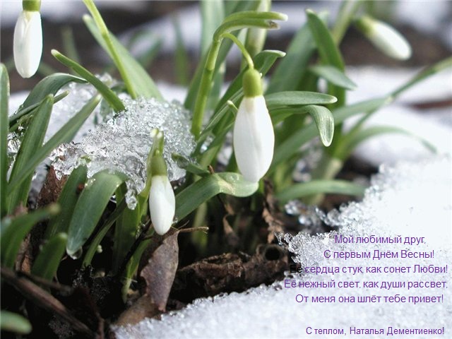 С первым Днём Весны! поздравок