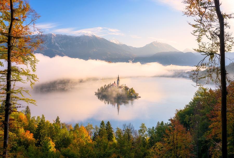 Счастья вскрик