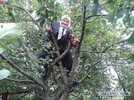 старости я недостойна..