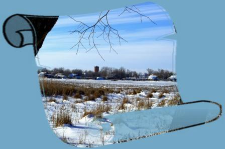 Приезжайте чаще в гости