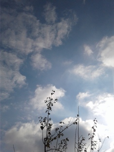 Карабах порука. Ти не плачи за мном. Илана Шалехeт