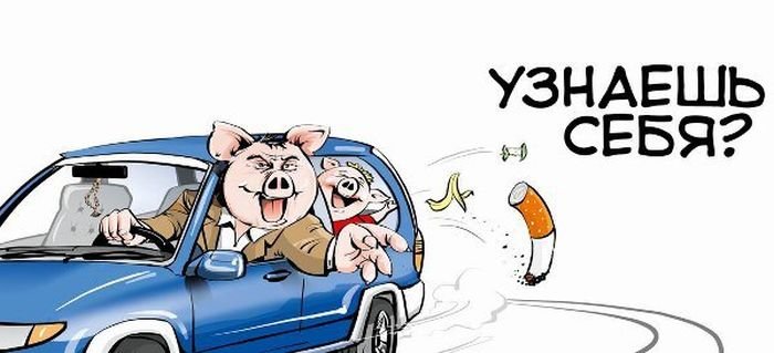 Картинка свинья с сигаретой