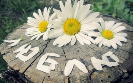 Любит, не любит