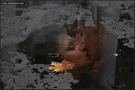 Дрожал листочек на воде