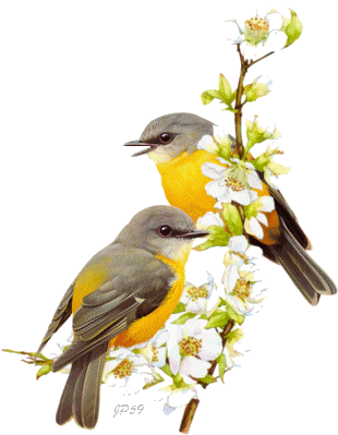 В душе поселилась хмельная весна