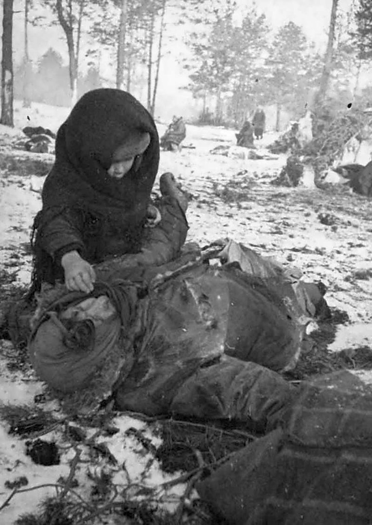 Голоса мира