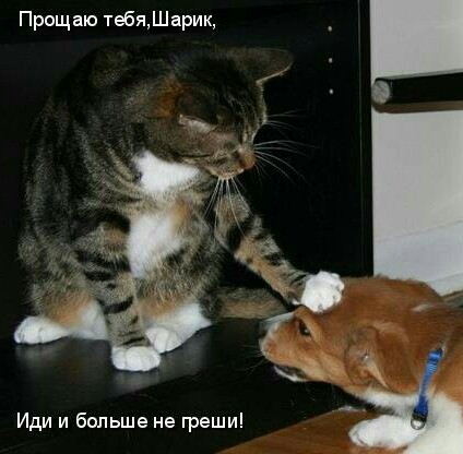 Покаяние депутата!