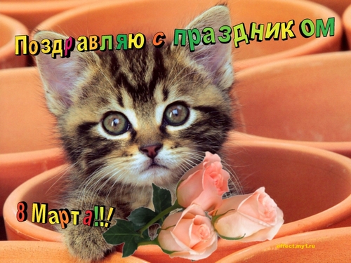 Дорогие Женщины