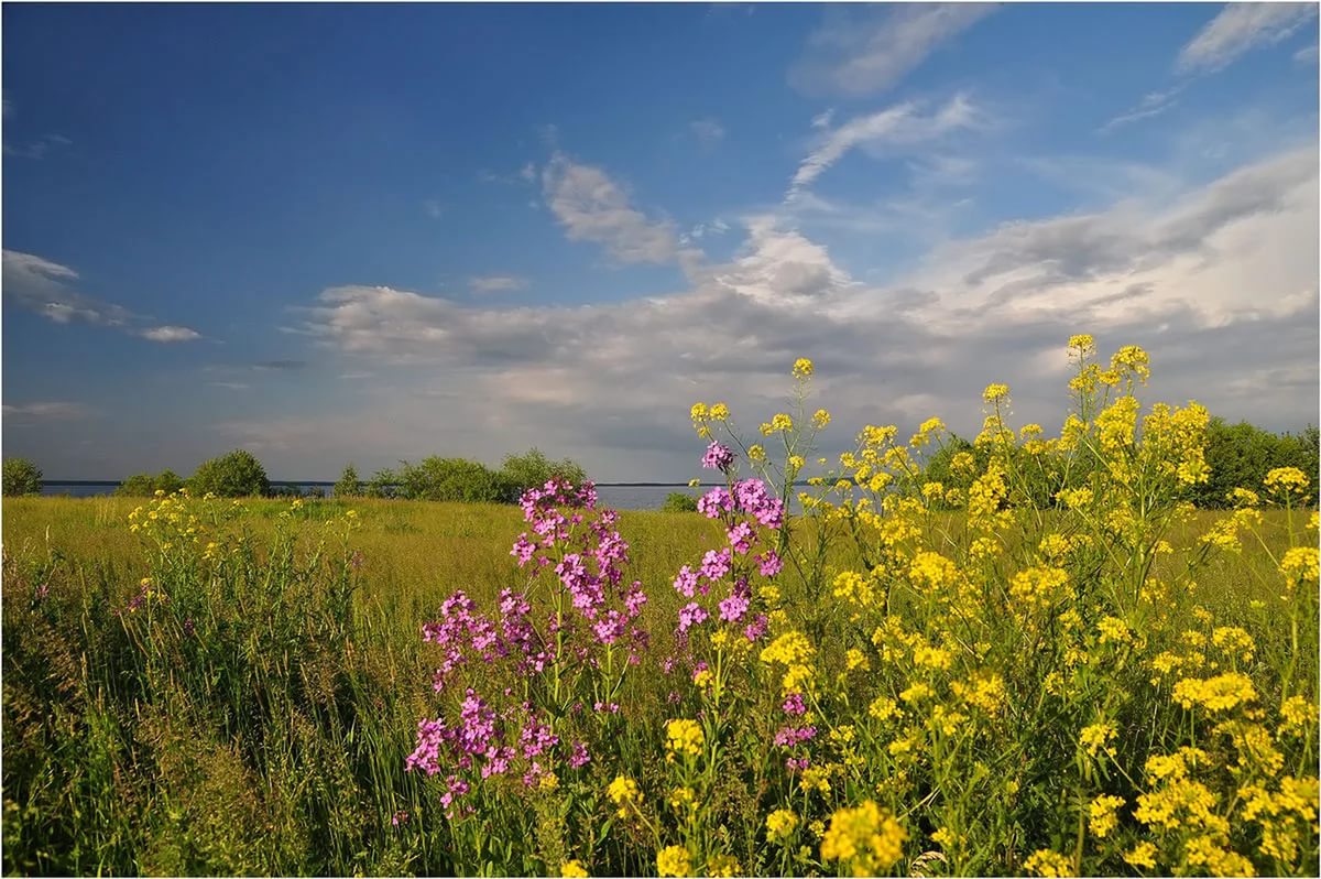 дождь в степи. пахнет степь. ковыль в степи казахстана. пахнет степь. калмыкия волгоградская область.
