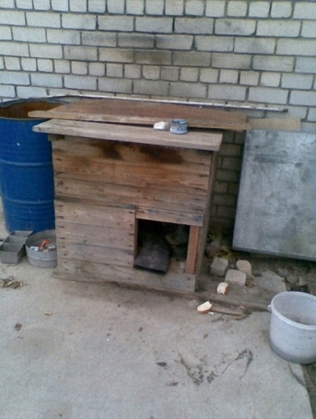 Ходит - бродит