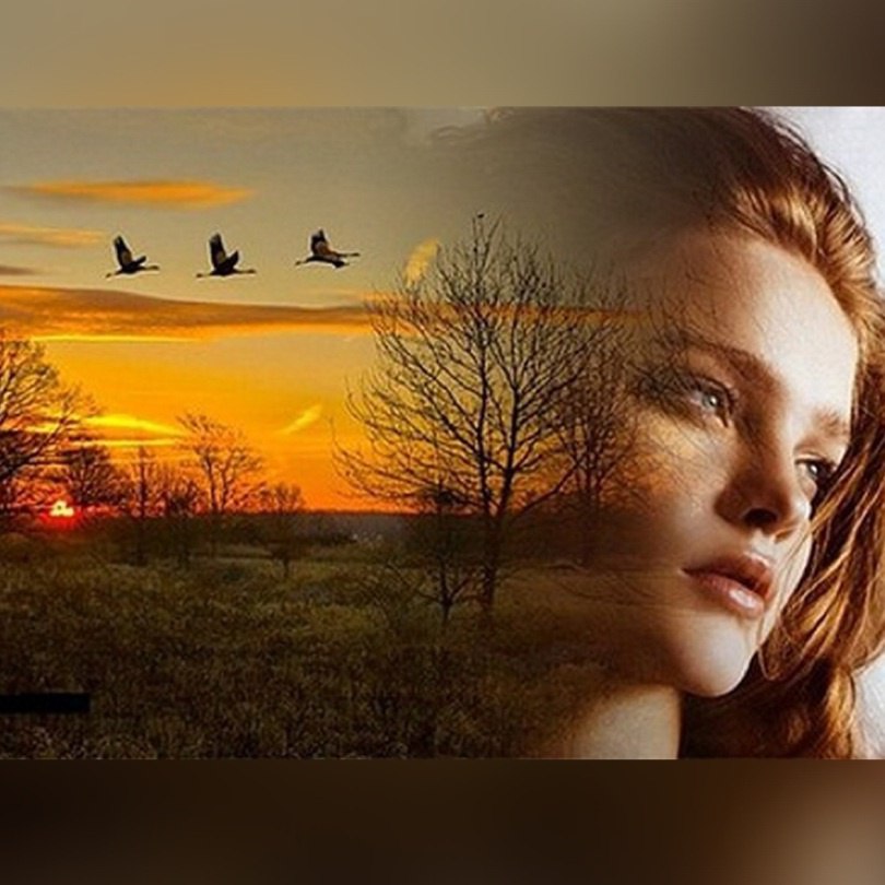 Пути назад нет