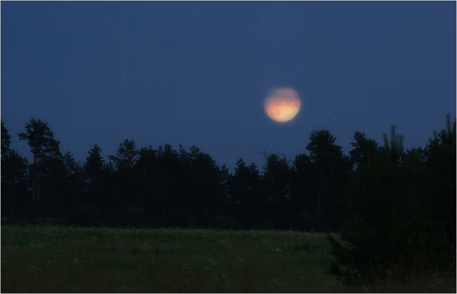 Дальний алый солнца свет (Иван Шибкой) / Стихи.ру