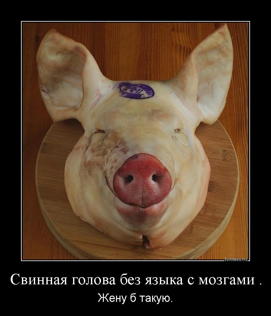 Й Вот это подарок