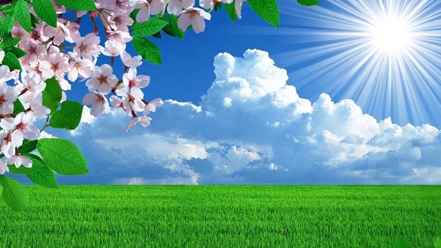 Весенний дождь