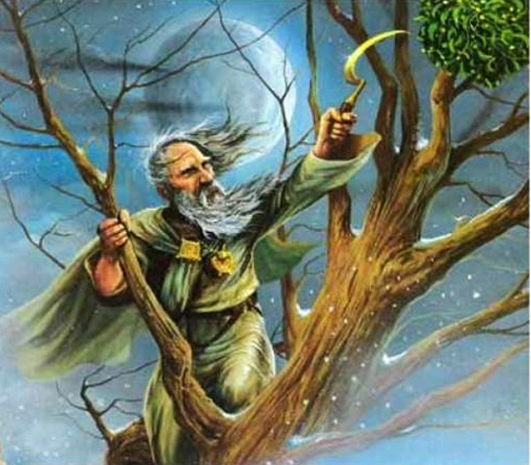 бортничество в киевской руси. священное растение для многих народов европы. священное растение для многих народов европы. друиды древних кельтов. омела друиды.