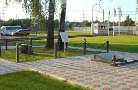 О чем грустят березы