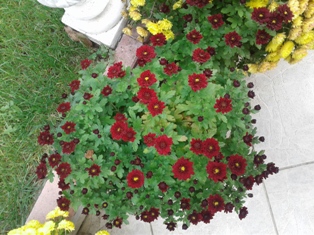 Све jе као увек.. Костас Костас