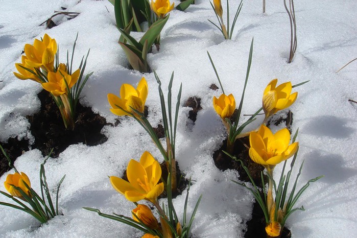 Сегодня проснулась другой...