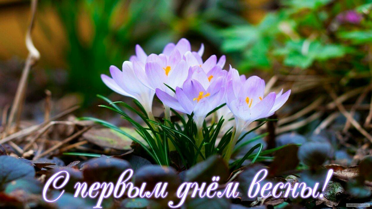 Весна идёт...