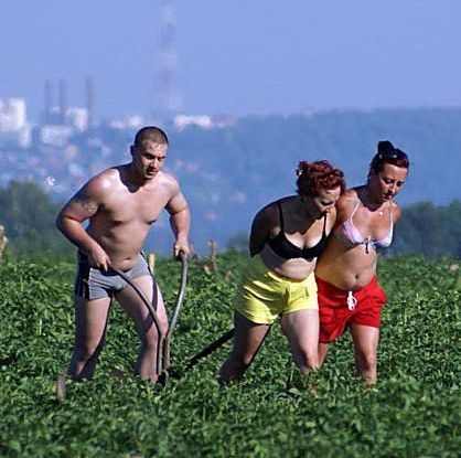 Мечты о лете