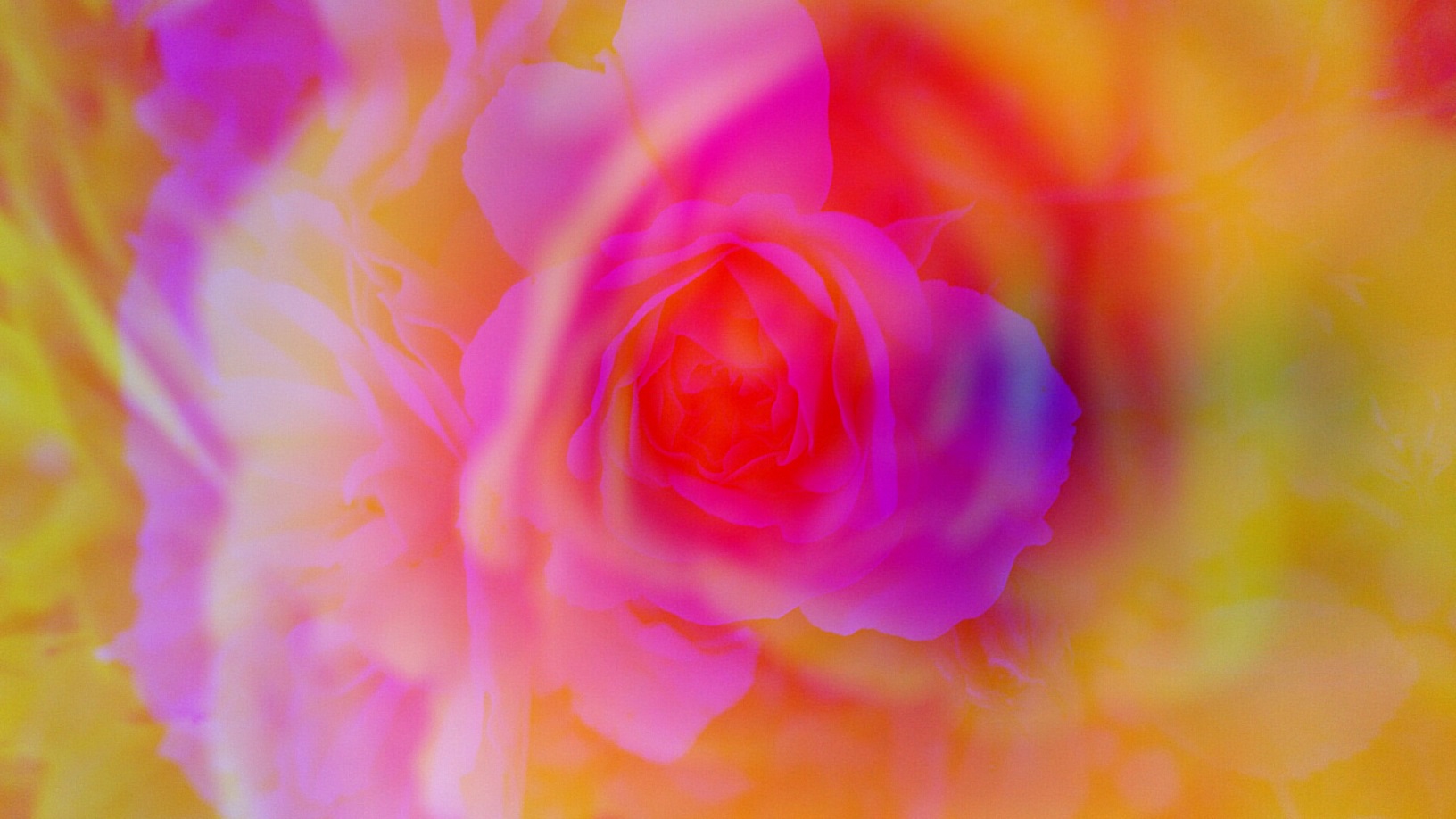 Тонкий мир поэта