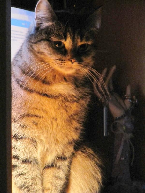 Светский разговор