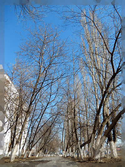 Насквозь иглой весны