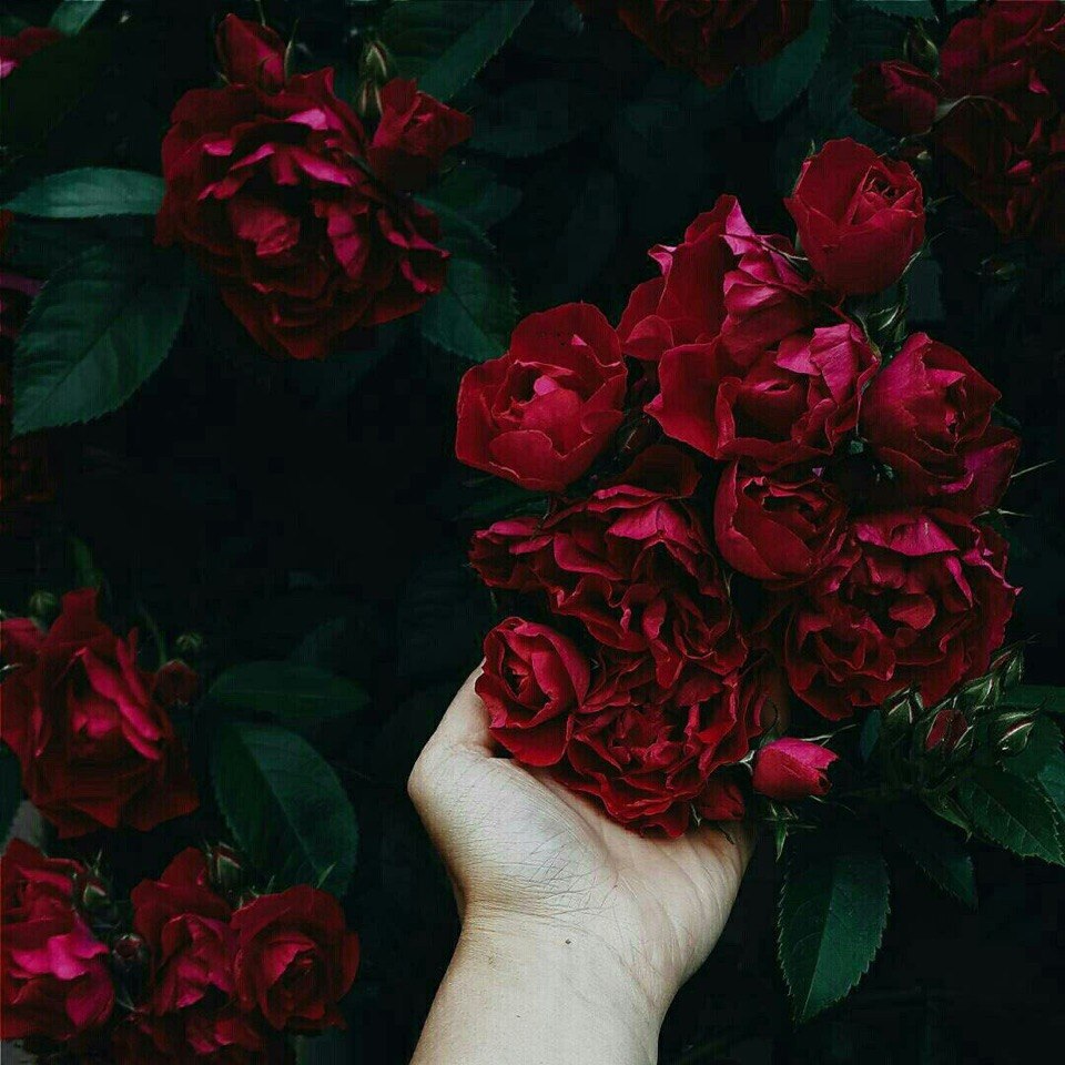 Не будет так как прежде