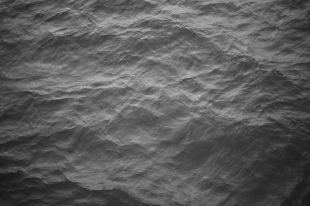 Взрослая жизнь