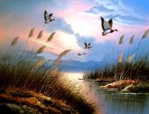 Жизнь продолжается