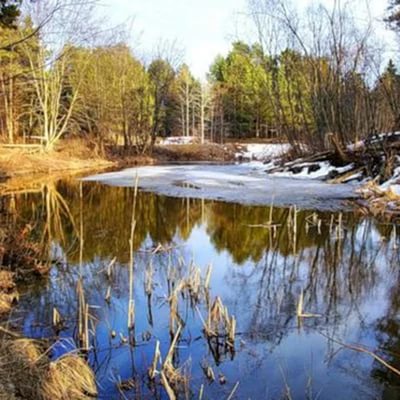 Здравствуй, весеннее чудо!