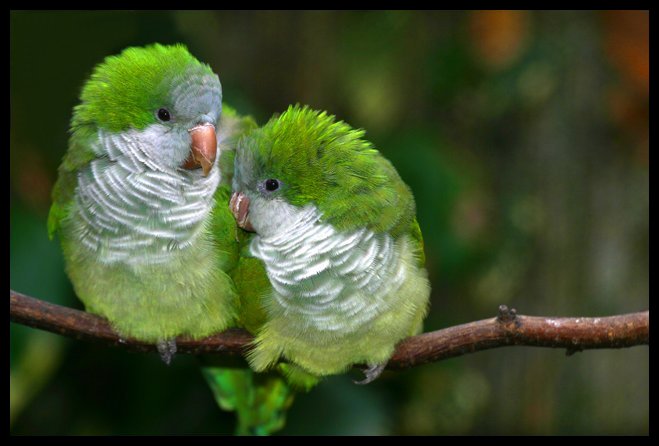 Рецепт молодости