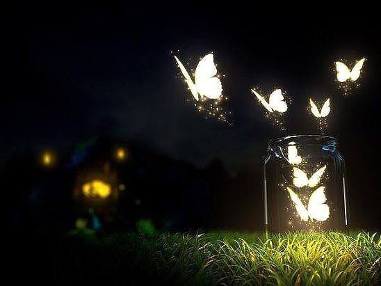 Лунный свет тишины!