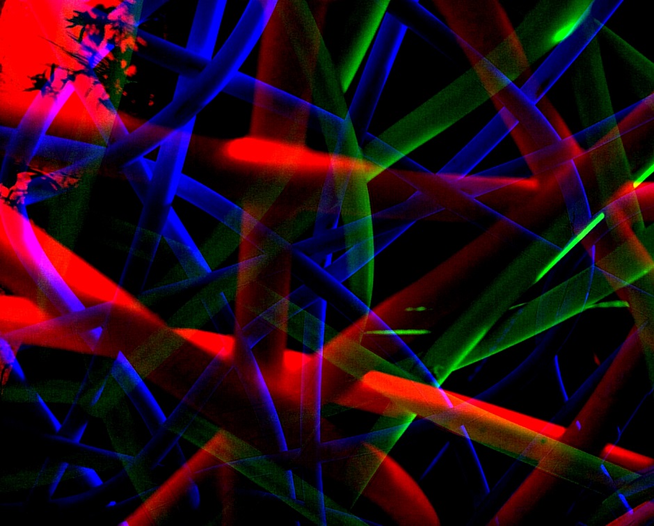 Земное есть предназначение