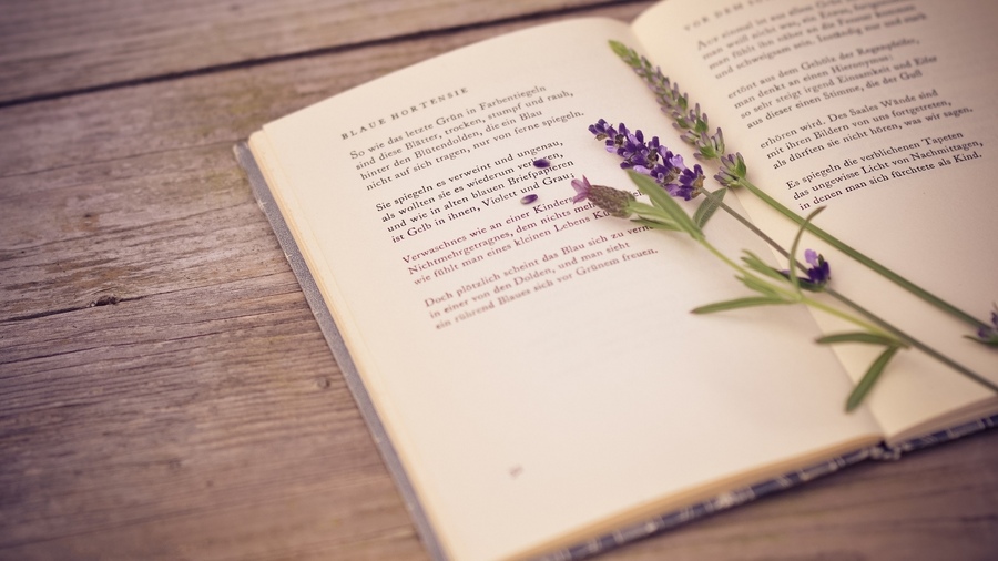 Ты читаешь мои стихи...