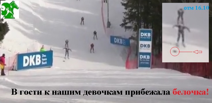 В гости к нашим девочкам прибегала белочка!