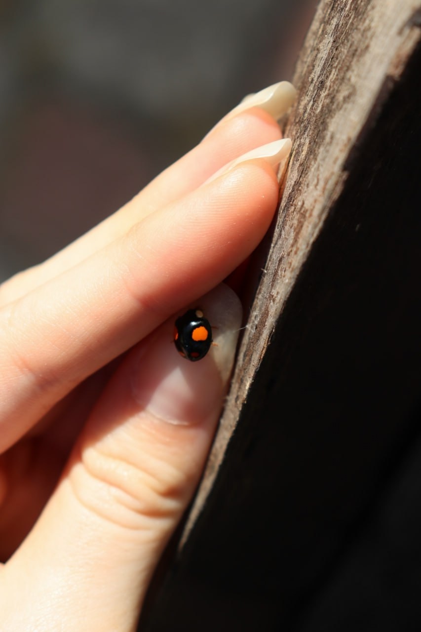 Порой исчезнуть в никуда