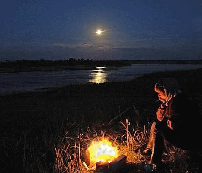 Донская задумчивая