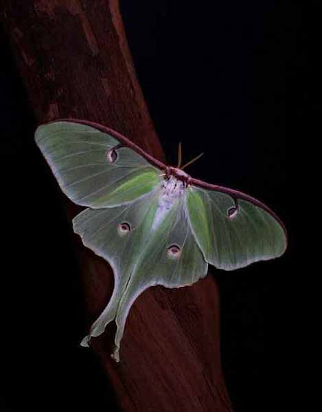 Неведомо, мой друг