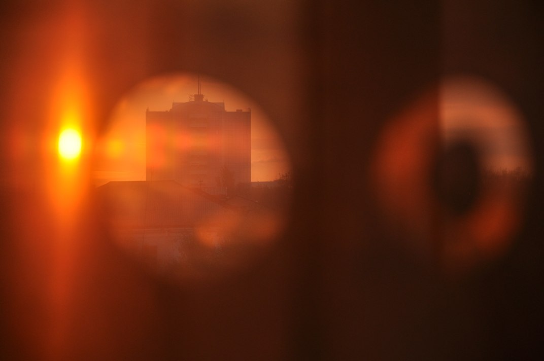 Моя весна взрывается мать-и-мачехой