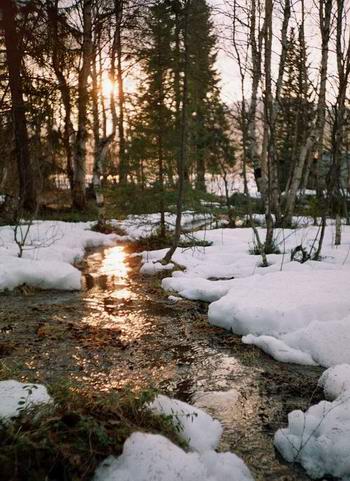 Мир тает в ласковом тепле!