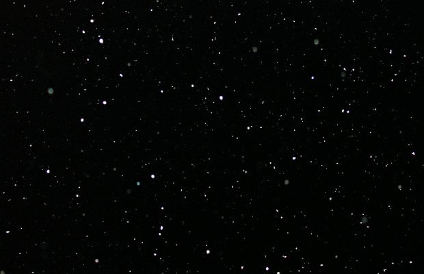 как два безудержных коня (Мария Грейчуте) / Стихи.ру