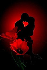 Ночи звёздные нас обнимали