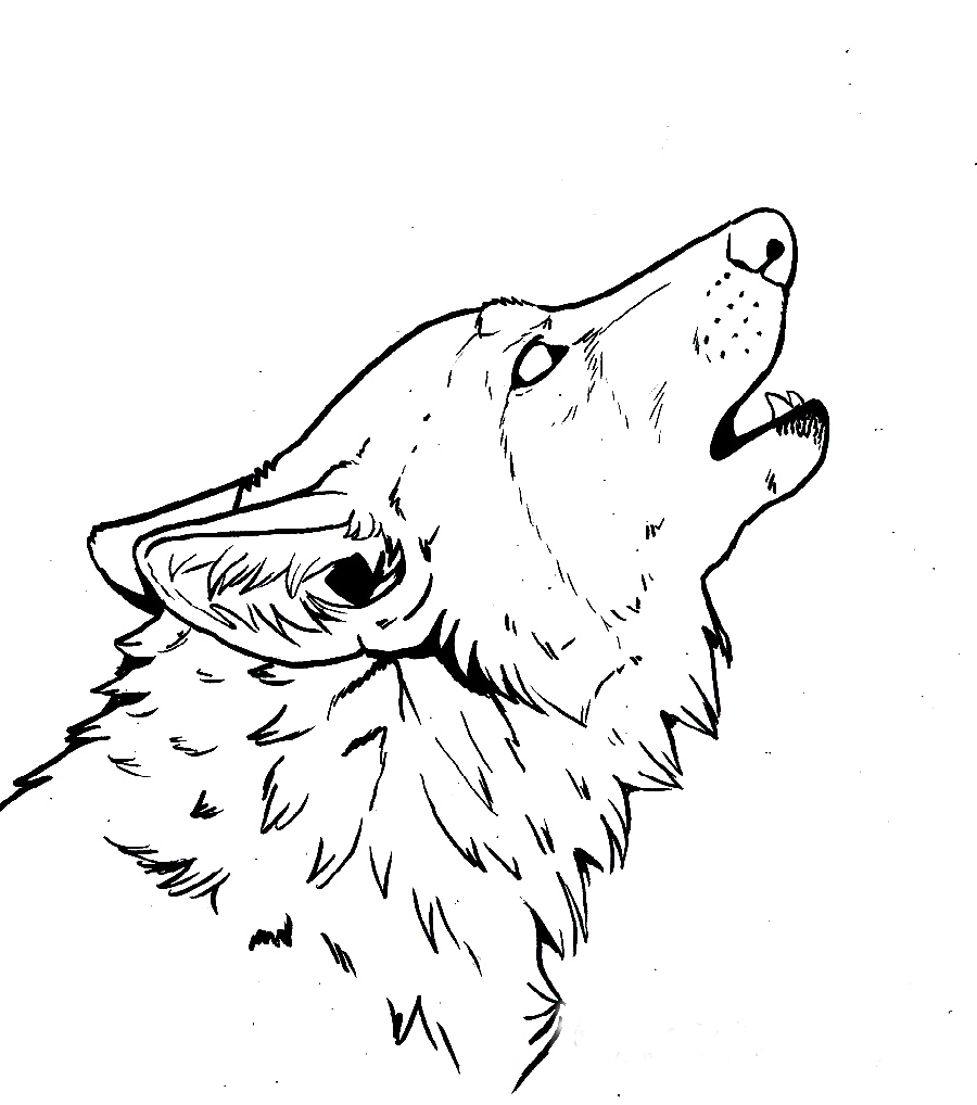 Волк рисунок набросок