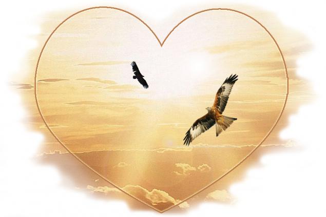 Птица не ранена, рана залечена (Ветрана) / Стихи.ру