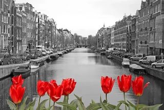 Нужно успеть