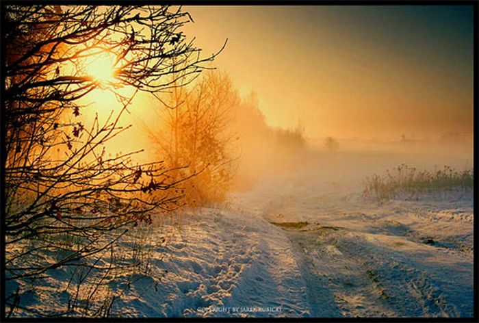 25 марта - день Феофана